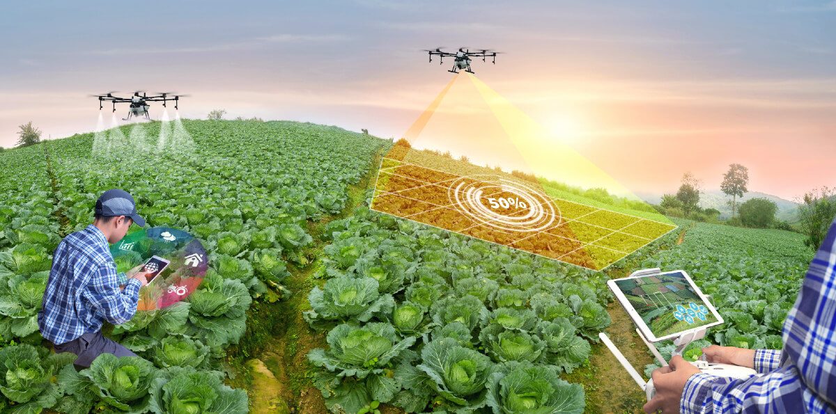 Cloud Computing and Its Role in Sustainable Agriculture and Food Security 2